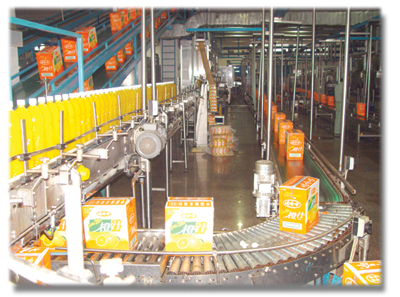 自動(dòng)化包裝流水線(xiàn)的發(fā)展及特征解析