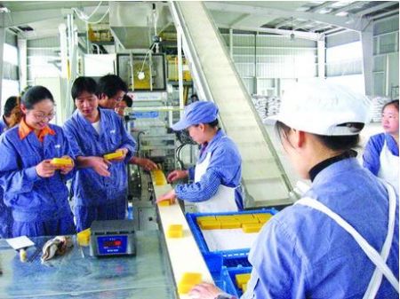 日化皮帶輸送線機(jī)械設(shè)備與各行各業(yè)同生存，共發(fā)展！