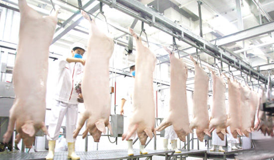 屠宰線網(wǎng)帶輸送設(shè)備