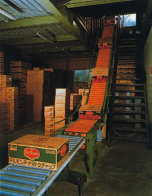 影響醫(yī)藥物流輸送線(xiàn)直導(dǎo)軌疲勞壽命的因素