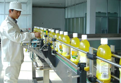 果汁網(wǎng)帶輸送設(shè)備進瓶螺桿的結(jié)構(gòu)原理