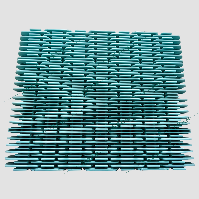 1600-II平格型網(wǎng)帶