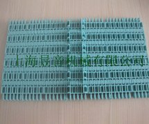 塑料輸送網(wǎng)帶-2000平格網(wǎng)帶